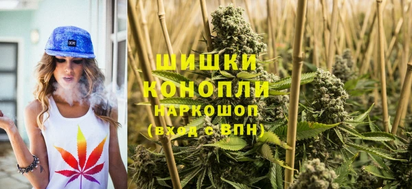тгк Мегион
