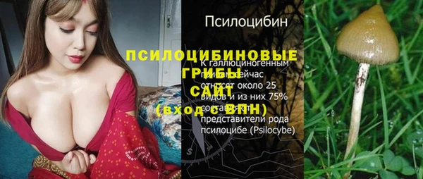 мдпв Медногорск