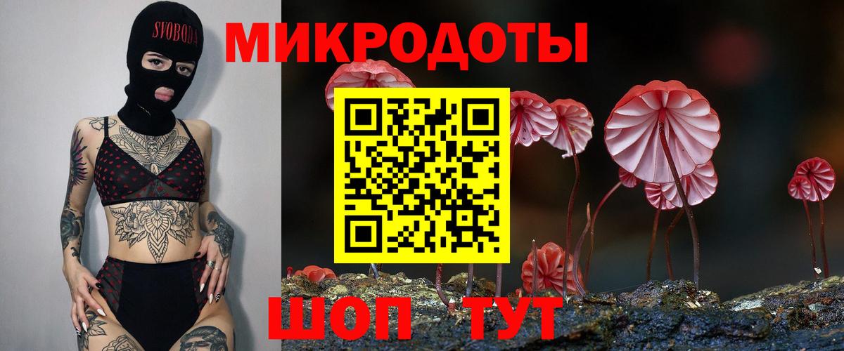Галлюциногенные грибы Psilocybine cubensis  Вход с VPN  Истра 