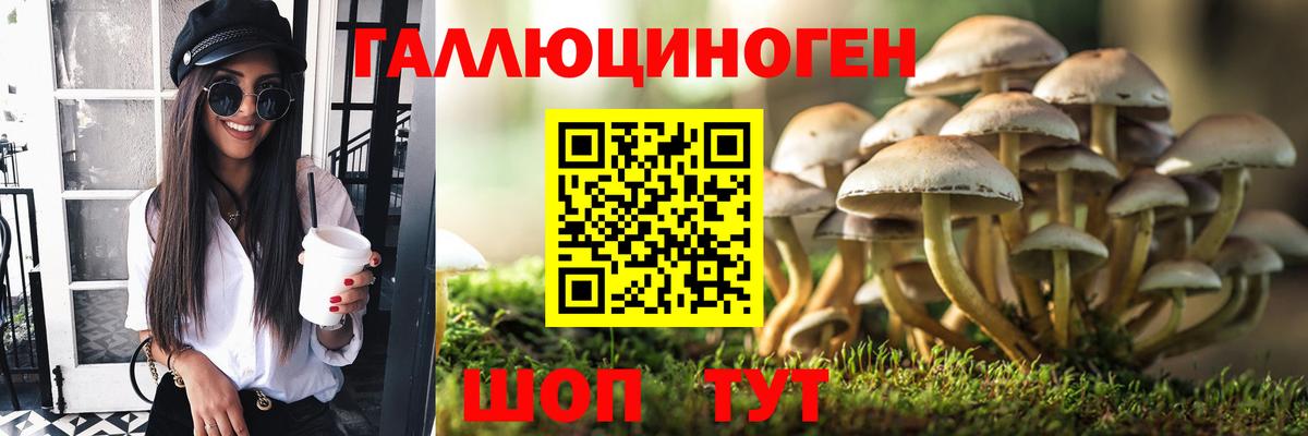 Псилоцибиновые грибы Cubensis Истра