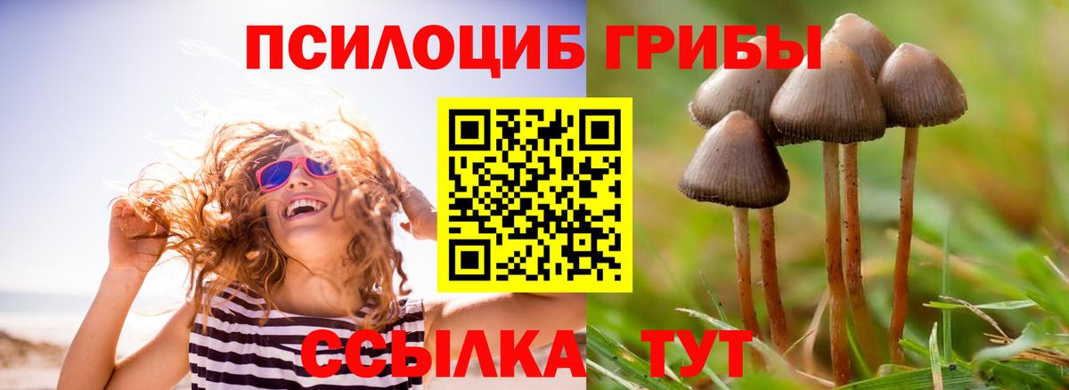 Галлюциногенные грибы ЛСД  Истра 