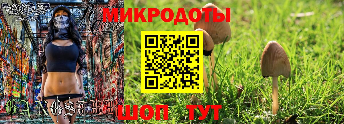 Галлюциногенные грибы GOLDEN TEACHER Истра