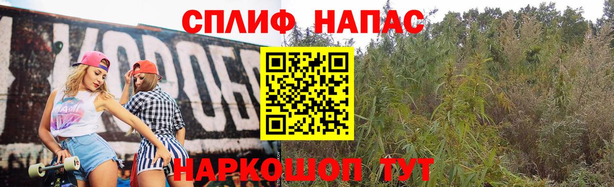 Истра  Конопля сатива  Бошки марихуана ГИДРОПОН  Конопля OG Kush  Шишки марихуана планчик  Вход с VPN 